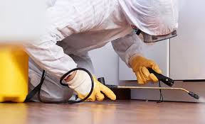 Emergency Pest Control Services in Arabi, LA